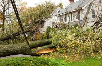 Storm damage restoration in Sunrise by Service Max Cleaning & Restoration, Inc