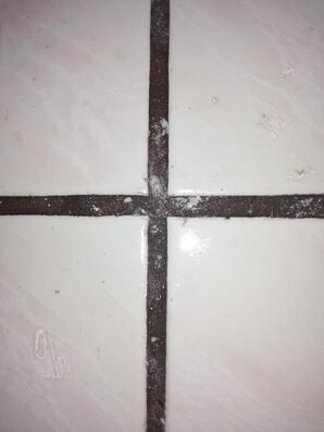 Tile and Grout Cleaning Services in Coral Gables, FL (1)