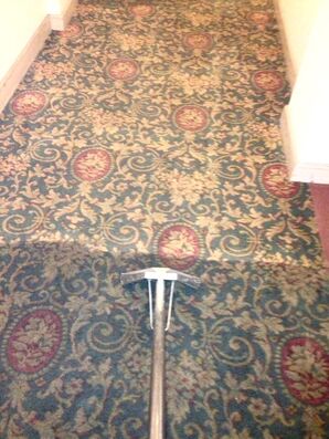 Commercial Carpet Cleaning in Miami, FL (1)