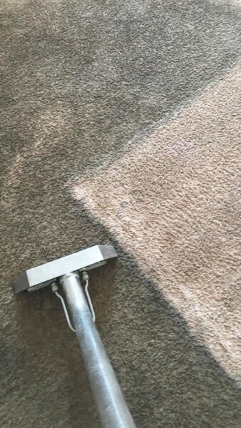 Carpet Cleaning by Service Max Cleaning & Restoration, Inc