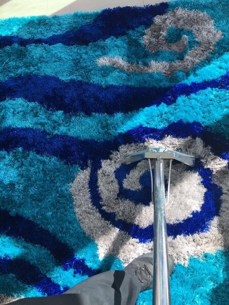 Area Rug Cleaning in Miami, FL (1)