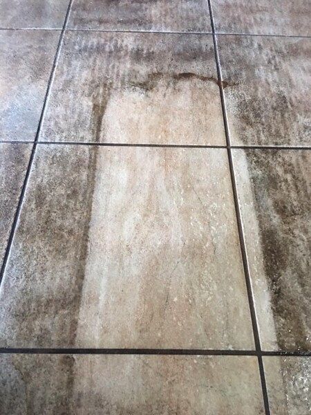 Tile and Grout Cleaning and Storm Damage Services in Miami Beach, FL (1)
